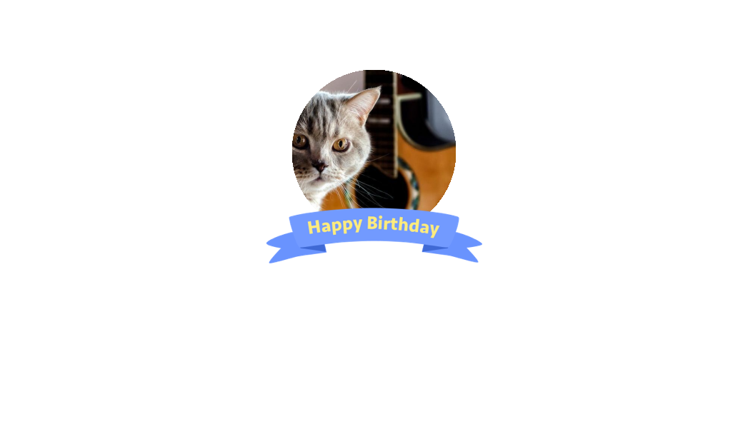 夜猫已熟睡的微博 微博