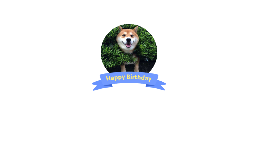 金鸡百花电影节 林丹 少年之名-袁林青 他的粉丝(292) palmangels