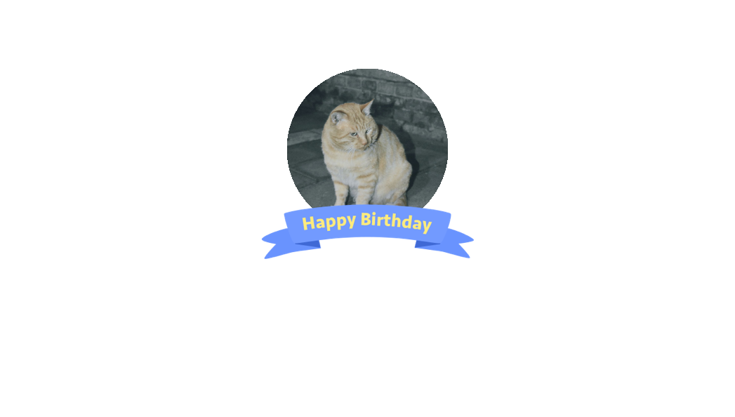 秋夜迷路的猫的微博 微博 秋夜迷路的猫的微博 微博